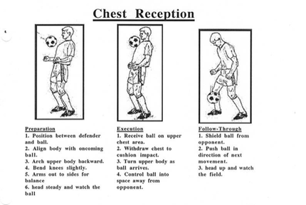 Chest Reception